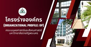 โครงร่างองค์กร